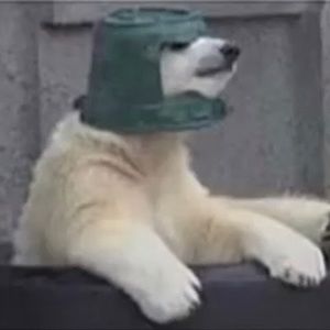 Meet your Posher, Ramon